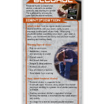 Powdered-Alcohol Powdered-Alcohol