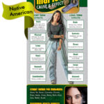 PSS-CE-03-AI-FLAG-WEB PSS-CE-03-AI-FLAG-WEB