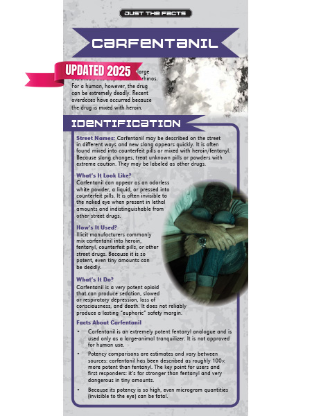 Just the Facts Rack Card: Carfentanil