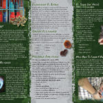 PAM-SSDA-42S BHO Dabbing-SPAN-BACK