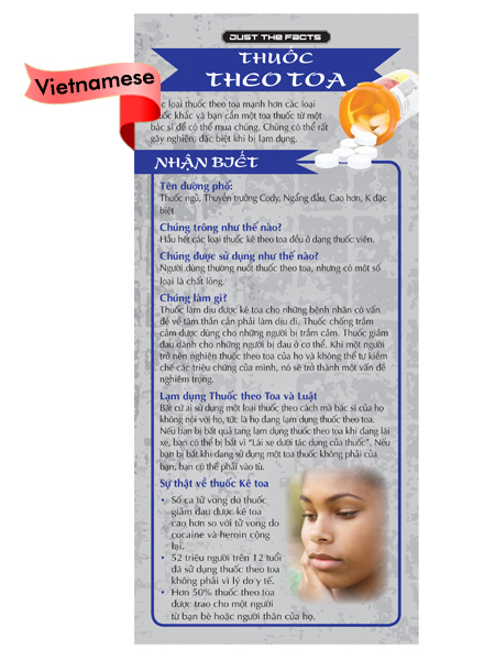 *VIETNAMESE* Just the Facts Rack Card: Prescription Drugs