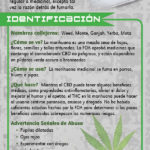 RACK-JTF-69S---Med-Marijuana--SPAN-FLAG