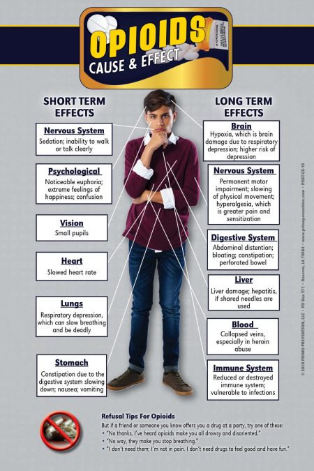Opioids Cause & Effect Mini Poster
