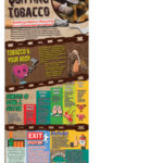 BAN-BTC-01-Quitting-Tobacco-NEW-FLAG-LADY