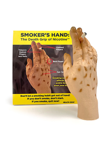 27034 Smokers Hand The Death Grip Model WEB
